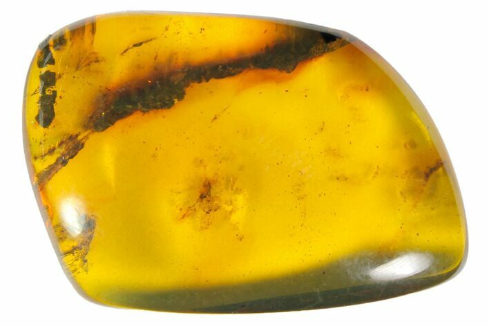 Polished Chiapas Amber ( g) - Mexico #114747